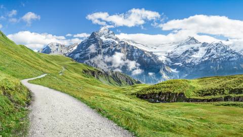 Schweizer Berge Wald Wiesen Weg