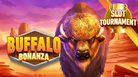 Buffalo Bonanza