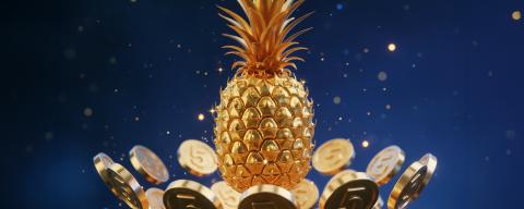 happy_togo_ananas