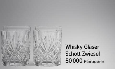 Whiskey Gläserset