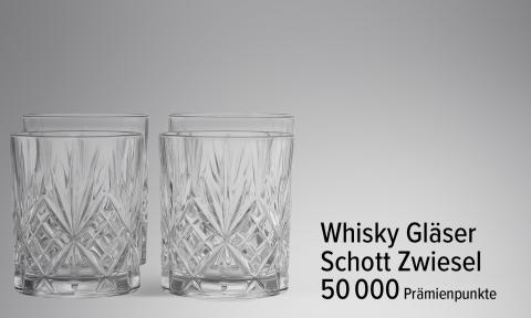 Whiskey Gläserset