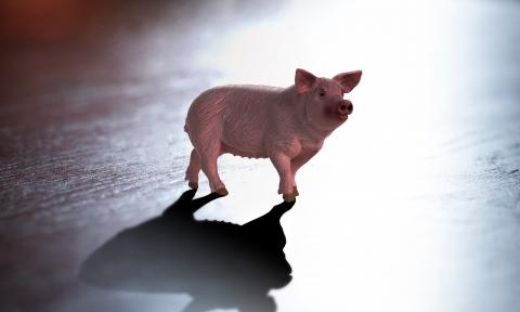 Schweinchen aus Kuststoff